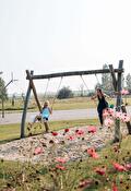 Activiteiten